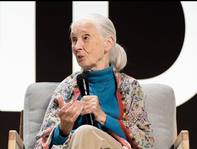 Jane Goodall Jane Goodall